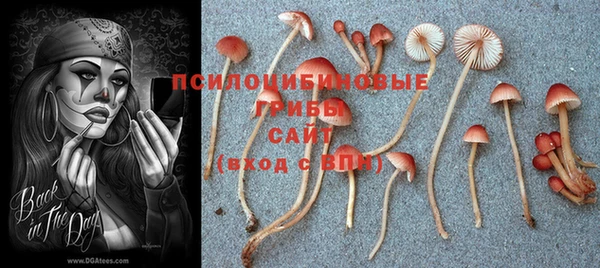 эйфоретик Алексин