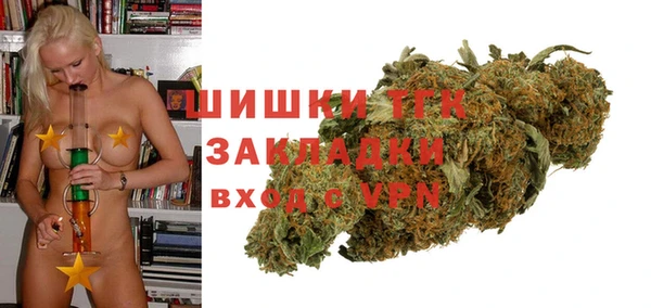 ешки Новозыбков
