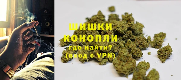 СК Новокубанск