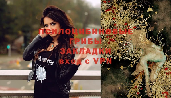 каннабис Новодвинск